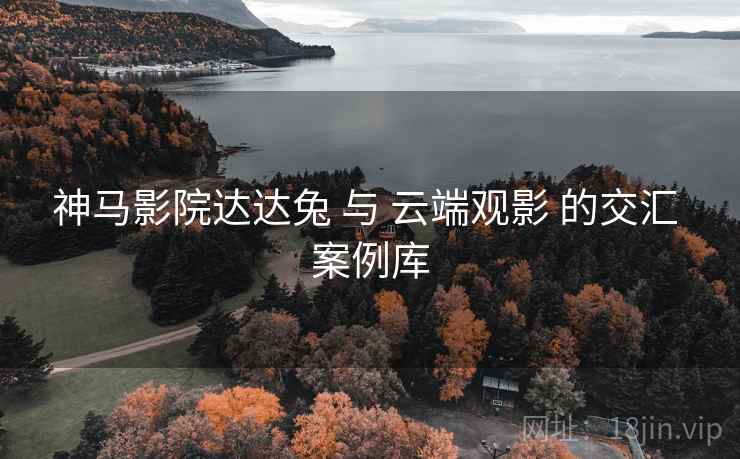 神马影院达达兔 与 云端观影 的交汇 案例库