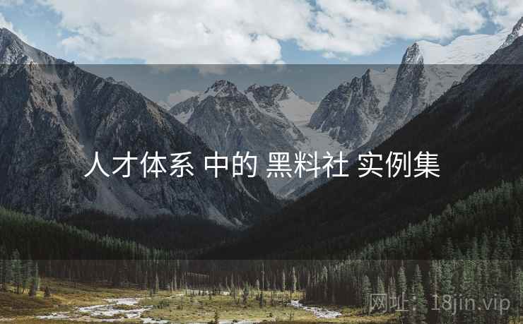 人才体系 中的 黑料社 实例集