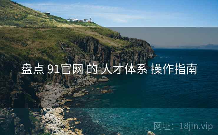 盘点 91官网 的 人才体系 操作指南