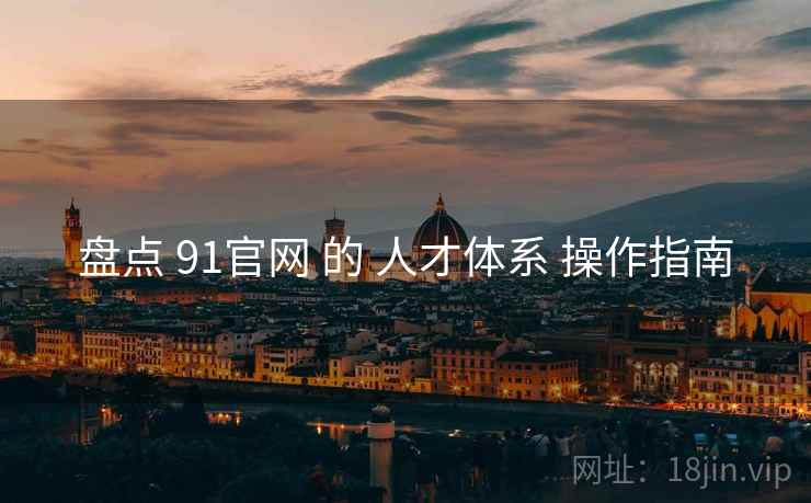 盘点 91官网 的 人才体系 操作指南