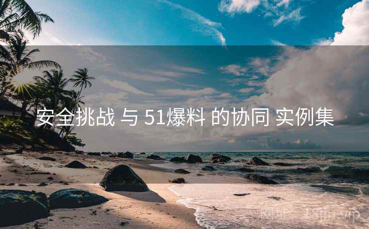 安全挑战 与 51爆料 的协同 实例集
