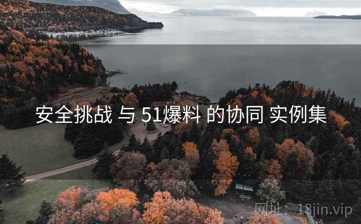 安全挑战 与 51爆料 的协同 实例集