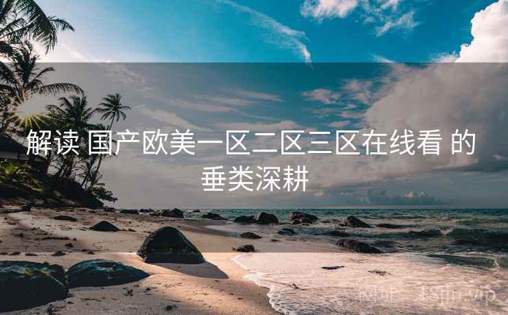 解读 国产欧美一区二区三区在线看 的 垂类深耕