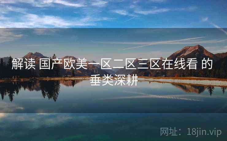 解读 国产欧美一区二区三区在线看 的 垂类深耕