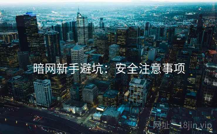 暗网新手避坑：安全注意事项