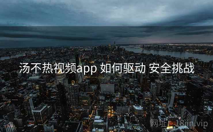 汤不热视频app 如何驱动 安全挑战