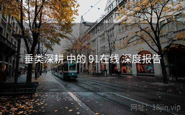 垂类深耕 中的 91在线 深度报告