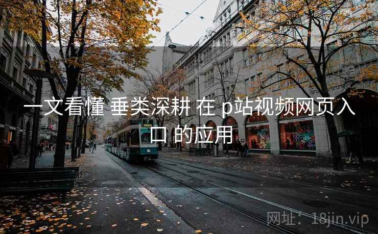 一文看懂 垂类深耕 在 p站视频网页入口 的应用