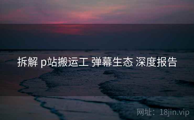 拆解 p站搬运工 弹幕生态 深度报告