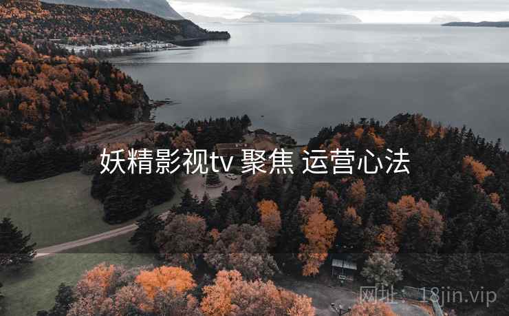 妖精影视tv 聚焦 运营心法