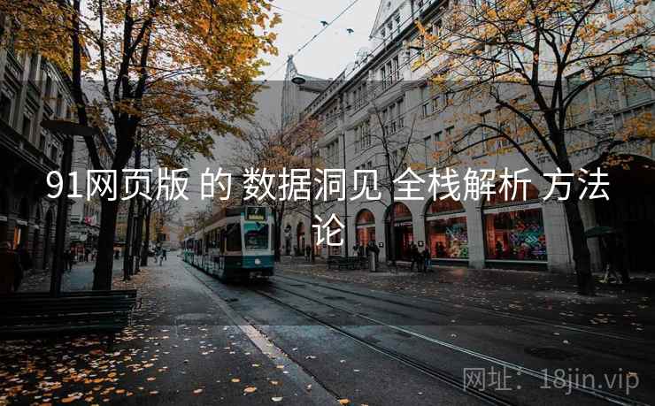 91网页版 的 数据洞见 全栈解析 方法论
